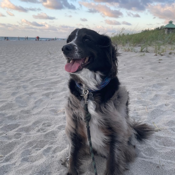 Meet your Posher, Corey - Picture 1 of 1